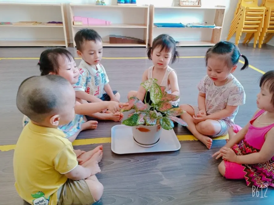 Trường mầm non Bé Tài Năng (Talented Kids Preschool) CS2