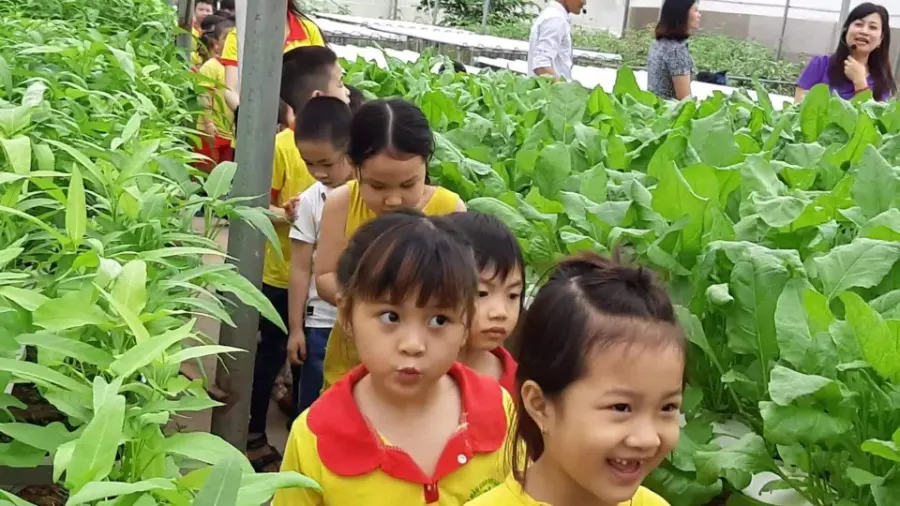 Trường Mầm Non Bình Minh