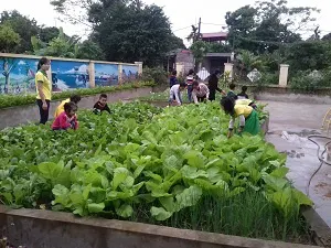 Trường mầm non Châu Sơn