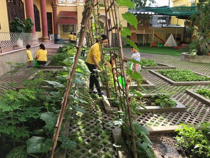 Trường Mầm Non Minh Đức - Thị Trấn Ngô Mây