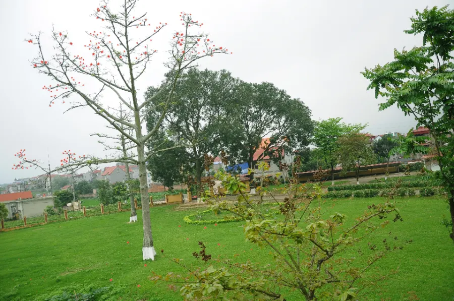 Trường Tiểu Học Bắc Sơn A