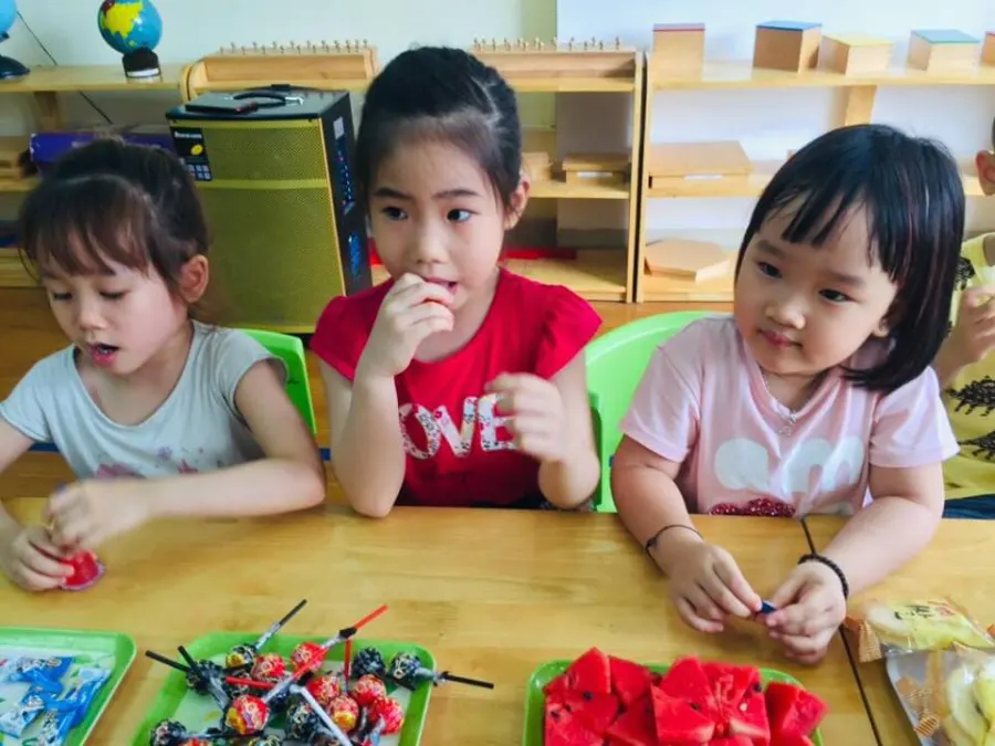 Trường mầm non Việt - Anh Montessori