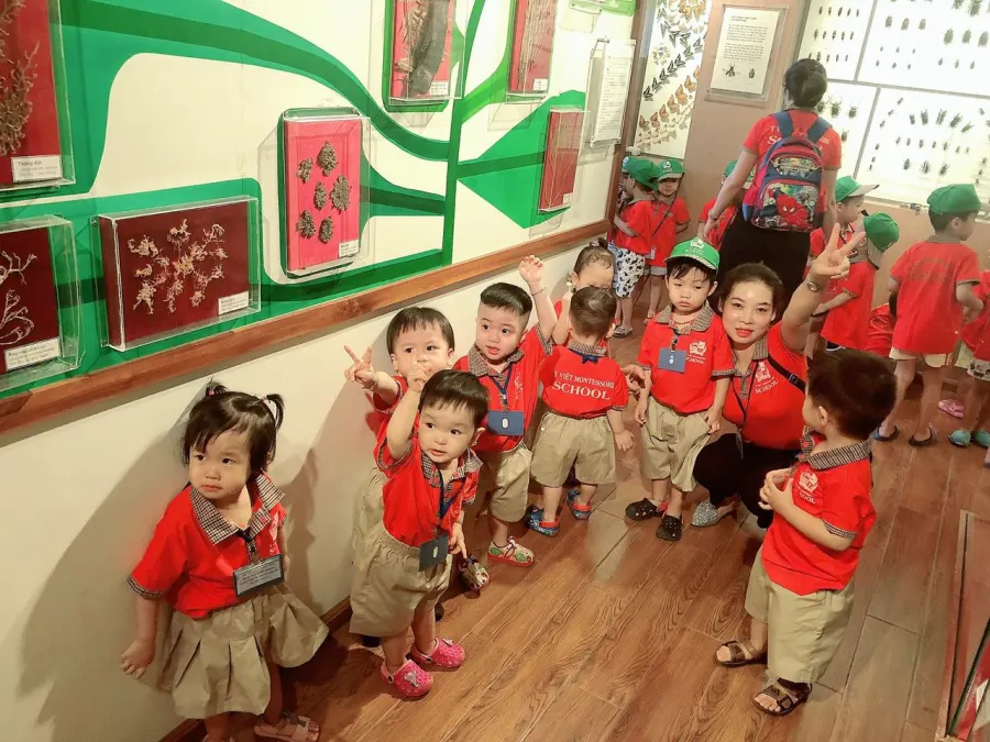 Trường mầm non Ý Việt Montessori - Ngoại Giao Đoàn