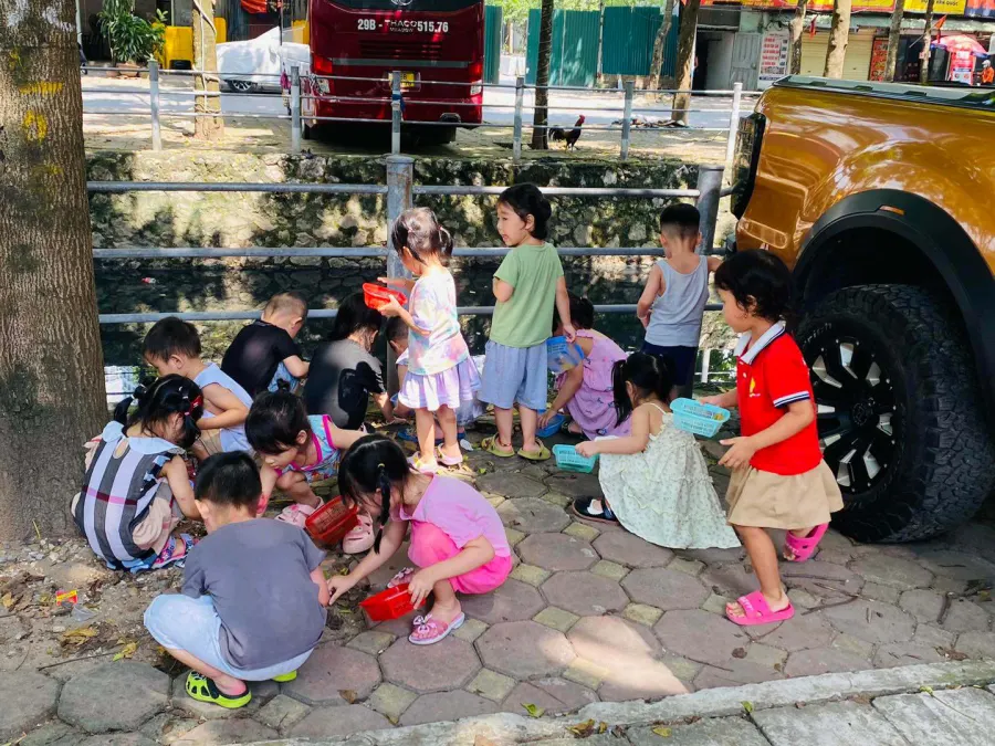 Trường Mầm Non Song Ngữ Pooh House