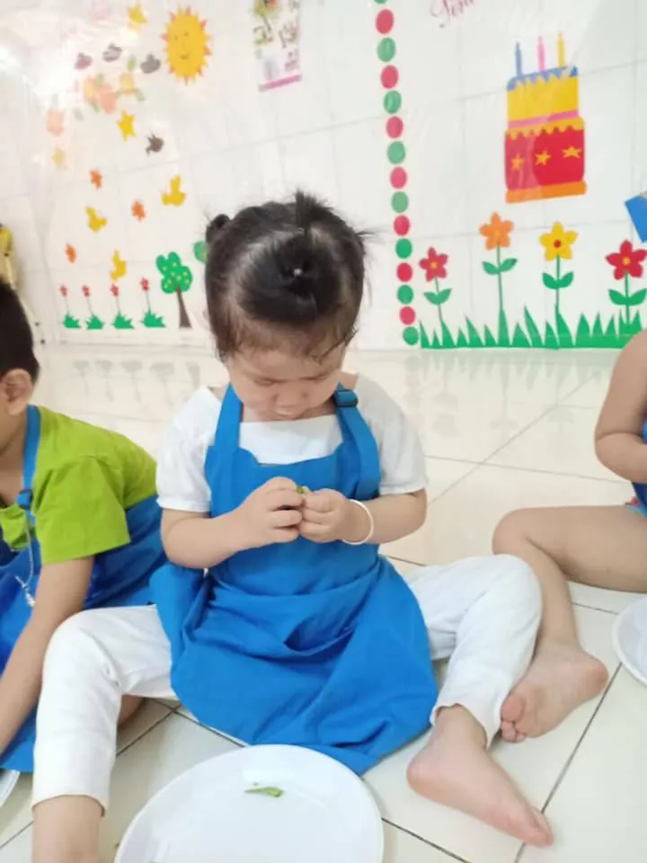 Trường Mầm Non Hoa Phượng Đỏ