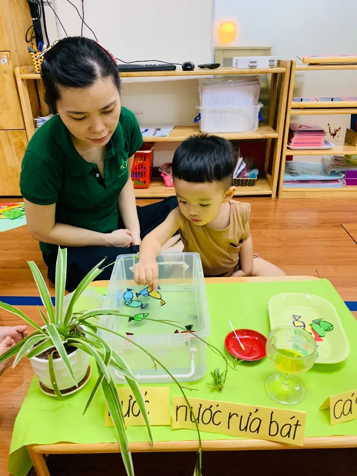 Trường Mầm Non Mặt Trời Bé Con - Safari Montessori Academy
