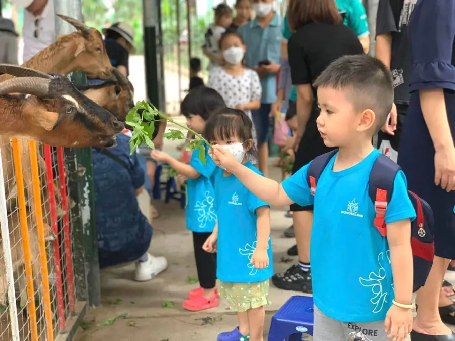 Trường Mầm Non Wonderland